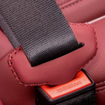 Seat belt buckle protectors for GWM