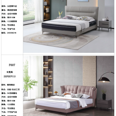 Modern Down Feather Bed for Hotel Apartment Villa Bedroom Use Oem/Odm Dormitory Super Luxury Praclicality Leather Single Bed